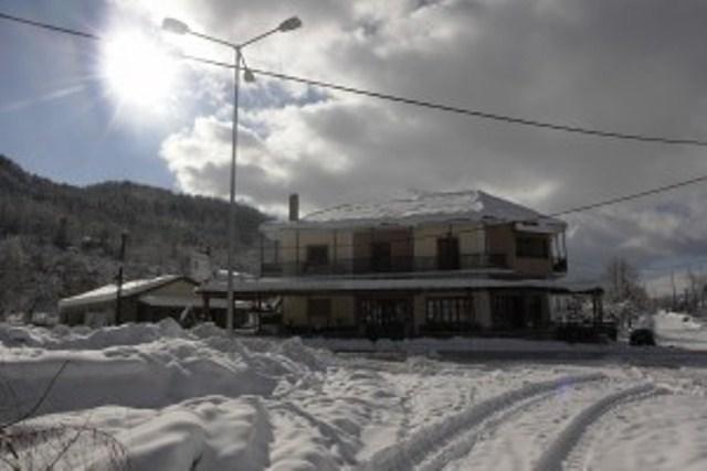 Antartiko Villa Rosa מראה חיצוני תמונה